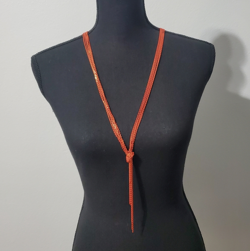 " Express" Multi-Chain Necklace (NWOT)